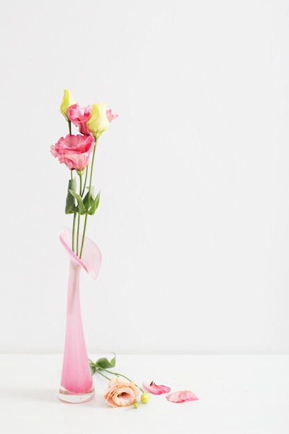 Bouquet di eustoma in vaso di vetro rosa su sfondo bianco