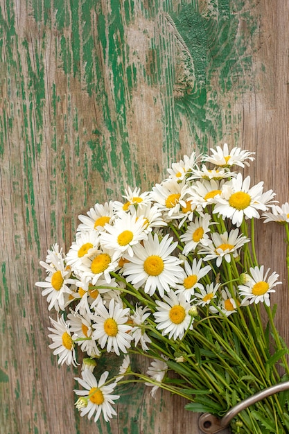 Bouquet field chamomile daisies flowers