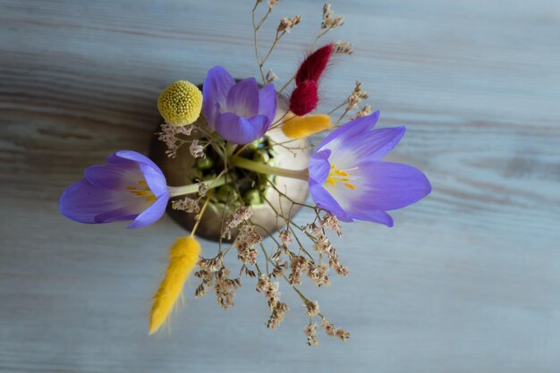 bouquet of first spring flowers crocuses in vase top view