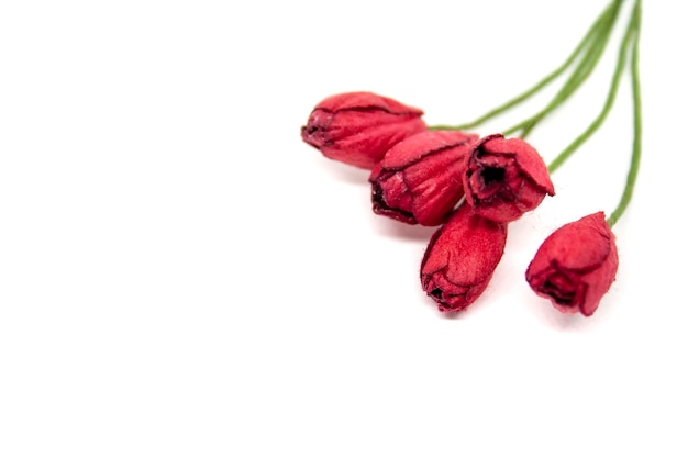 Букет из пяти маленьких красных бумажных тюльпанов на белом фоне