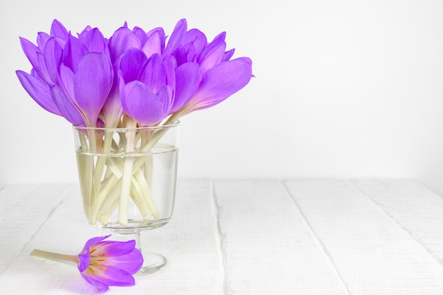 Bouquet of flowers colchicum autumnale in glass vase on white table copy space