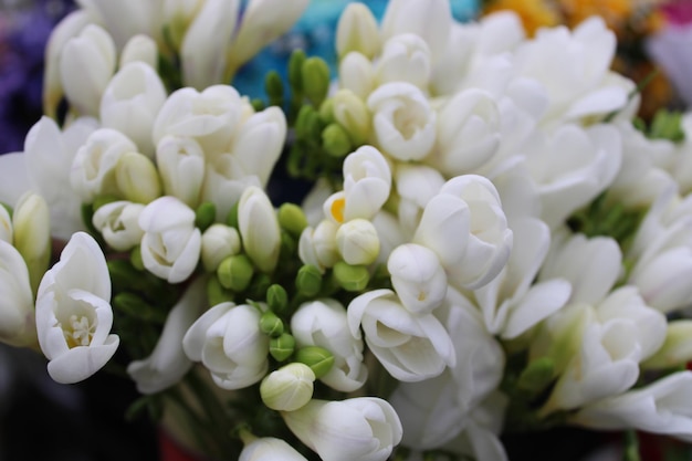 A bouquet of flowers from the flower market in new delhi.