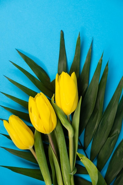 Bouquet of flowers of tulips on a blue background hello spring from March 8 and spring holidays