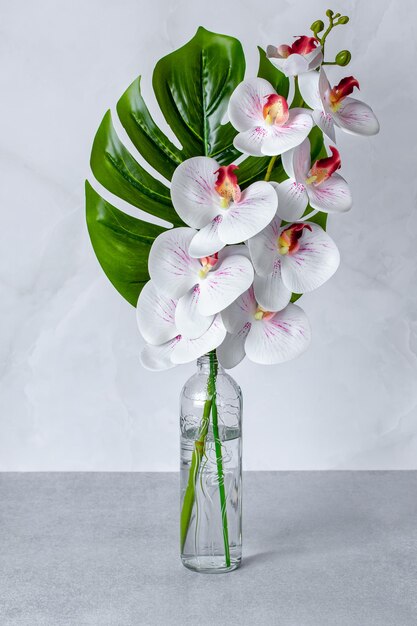 Bouquet of flowers in a vase, white orchids in a glass bottle on a gray table. Home decor of interior. Floral still life, greeting card, summer composition, green monstera leaf and orchid branch.