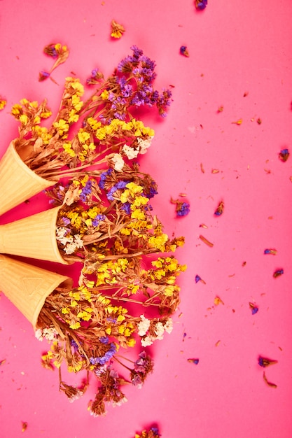 Bouquet Flowers in a waffle cone on a pink background.