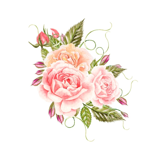 Bouquet of flowers Watercolor illustration