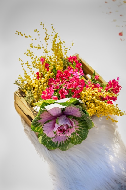 Bouquet of flowers on white blanket