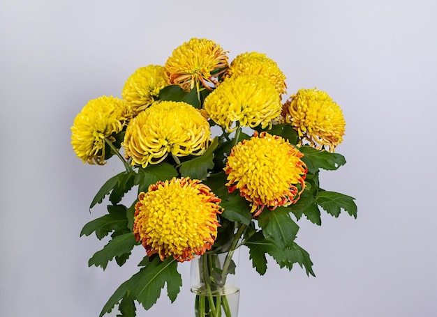 Bouquet of flowers on white wooden table