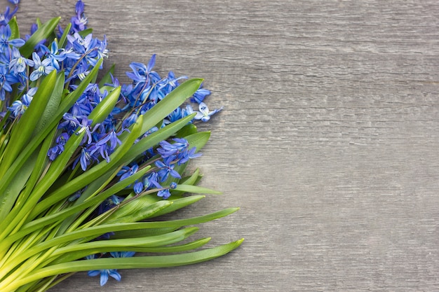 Bouquet of flowers on wooden background. 