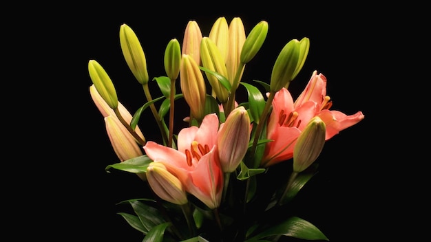 a bouquet of flowers