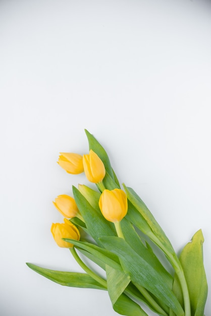 A bouquet of fresh, beautiful tulips arranged on white