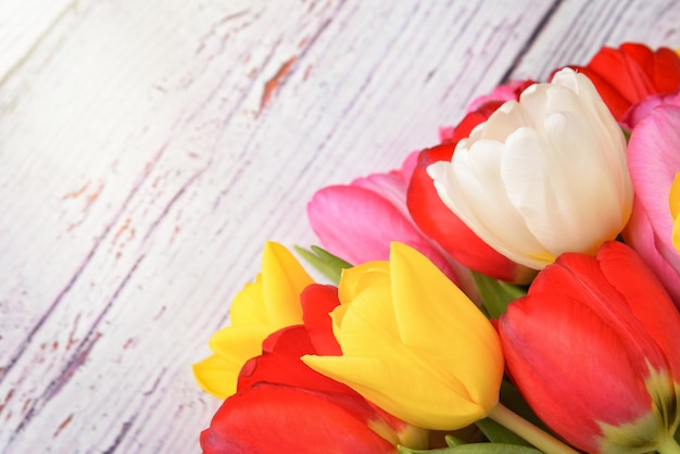 A bouquet of fresh, bright, multi-colored tulips on white wooden boards.