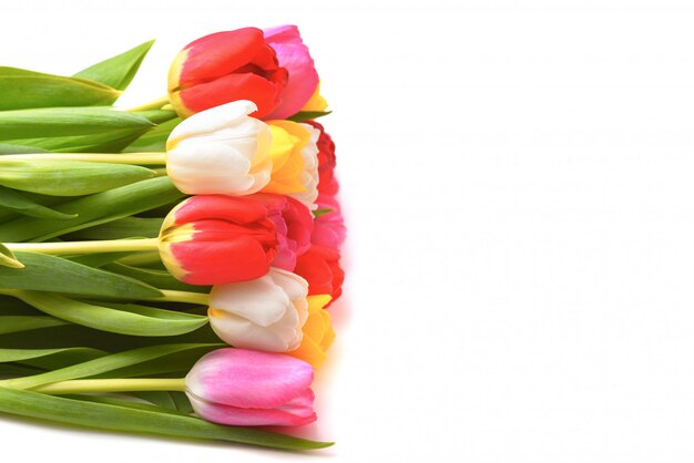 Bouquet of fresh, bright, multi-colored tulips