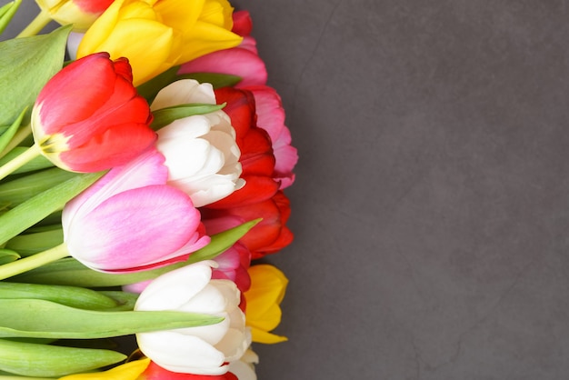 A bouquet of fresh, bright, multi-colored tulips