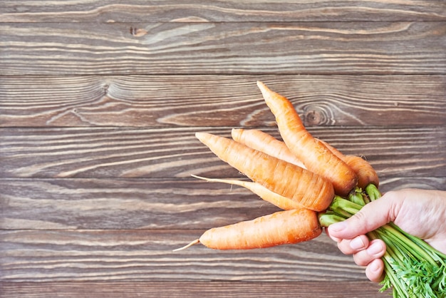 Bouquet fresh carrot in hand