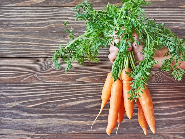 Bouquet fresh carrot