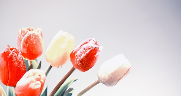 Bouquet di fiori freschi. regalo di festa alla persona amata. sfondo san valentino. composizione floreale di rose, tulipani, iris.