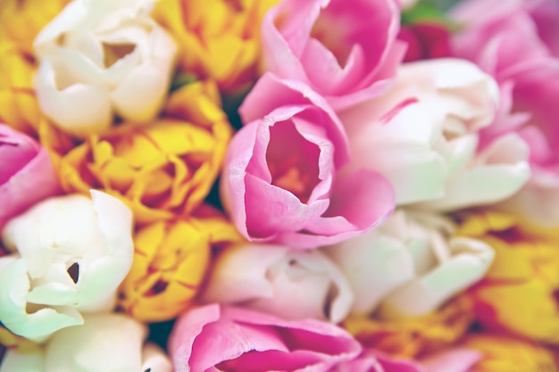 Bouquet of fresh multicolor tulip flowers on old blue wooden table