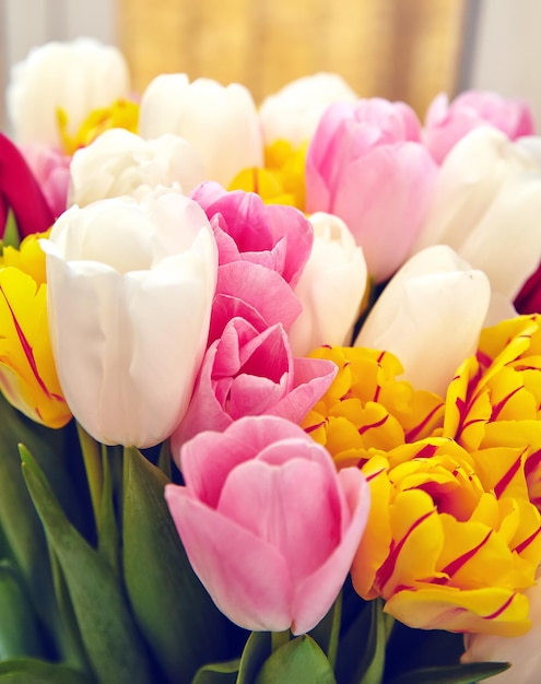 Bouquet of fresh multicolor tulip flowers