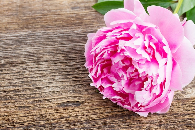 Bouquet of fresh pink peonies on wooden table