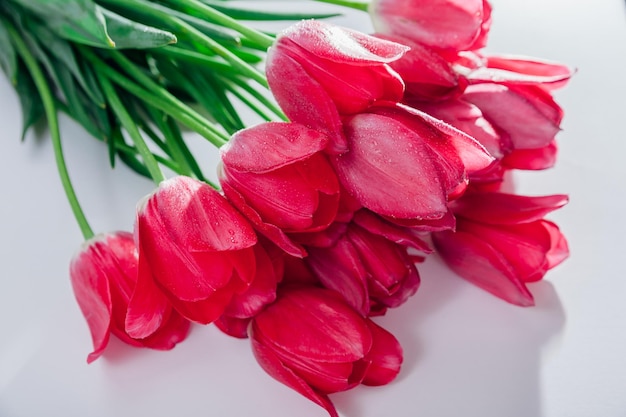 Bouquet of fresh pink tulips on white background flowers for valentines day as present