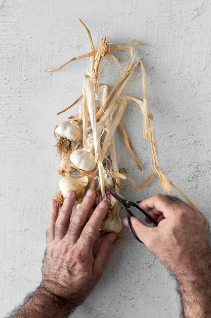 Bouquet of fresh purple garlic