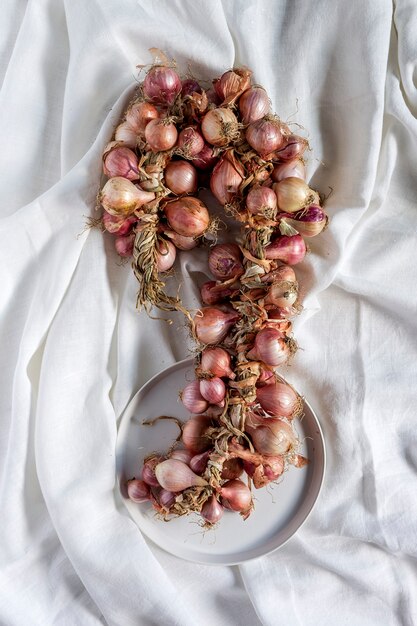 Bouquet of fresh red onions