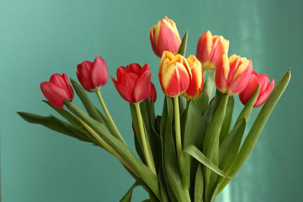 Bouquet of fresh red tulips