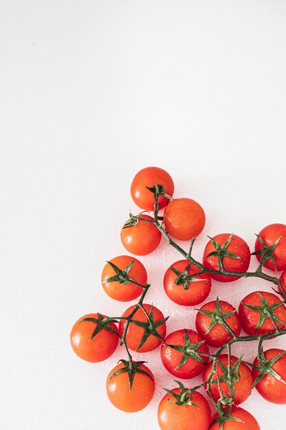 Bouquet di pomodorini freschi maturi pronti da mangiare su uno sfondo bianco brillante