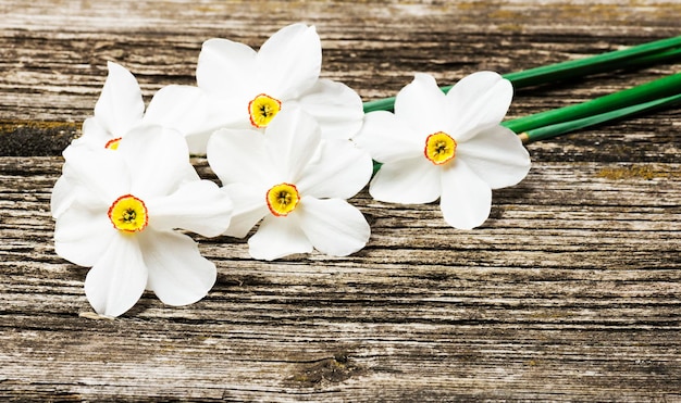 Bouquet di fiori di primavera freschi narcisi su uno sfondo di legno