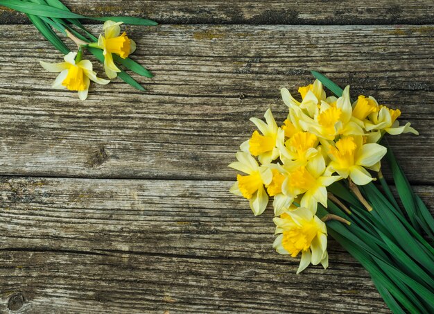 Bouquet of fresh spring flowers daffodils