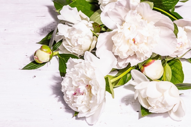 新鮮な白牡丹の花束。夏の繊細な花、ロマンチックなギフトのコンセプト。フラワーアレンジメント、トレンディなハードライト、ダークシャドウ。白い古い板の背景