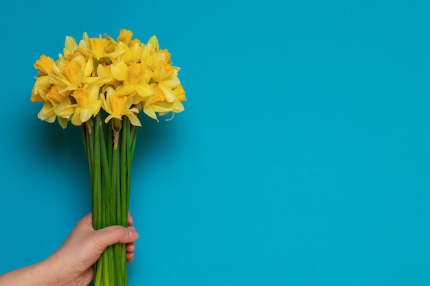 テキスト用のスペースと青い背景に女性の手で新鮮な黄色の水仙の花束