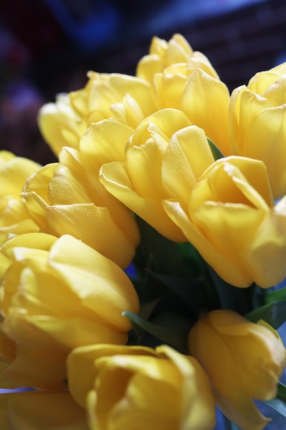 A bouquet of fresh yellow tulips in a vase on a table near the window