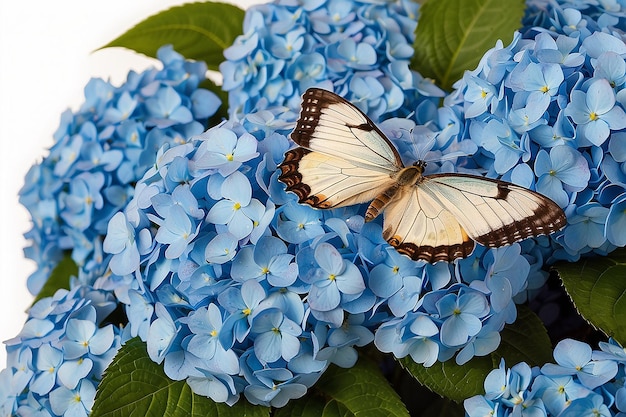 Букет из голубых гортензий и бабочки на цветочном фоне