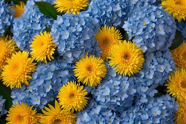 Bouquet from blue hydrangeas and yellow asters a flower background