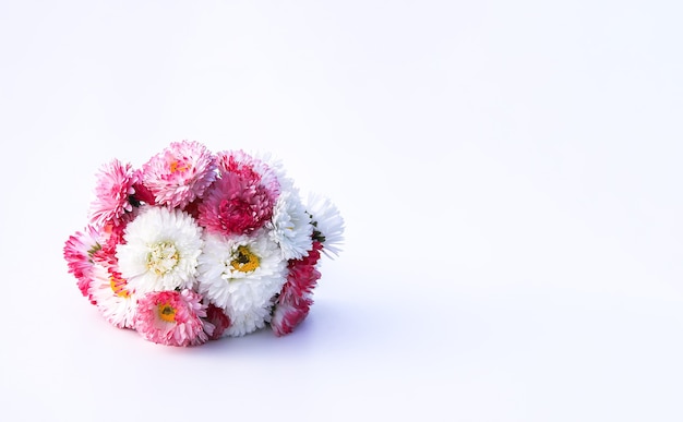 Bouquet of garden daisies with a red ribbon in a pot on a rough table. Blurred background.