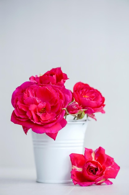 Bouquet of garden roses on a neutral background. vertical photo