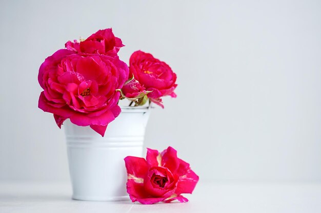 Bouquet of garden roses on a neutral background