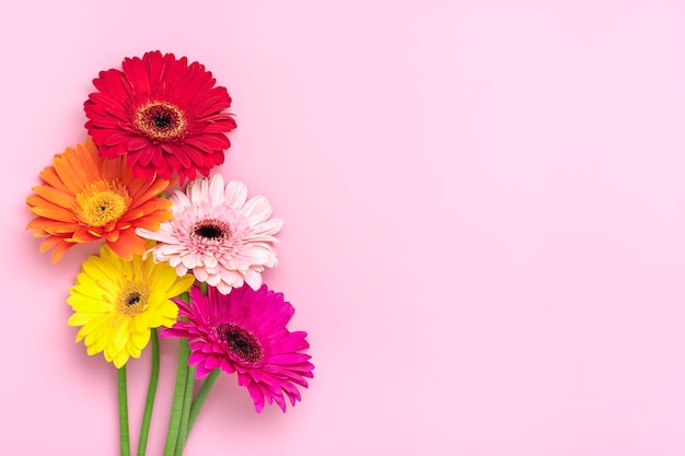 Foto bouquet di gerbere su sfondo rosa vista dall'alto piatto lay biglietto di auguri per le vacanze happy moter's day