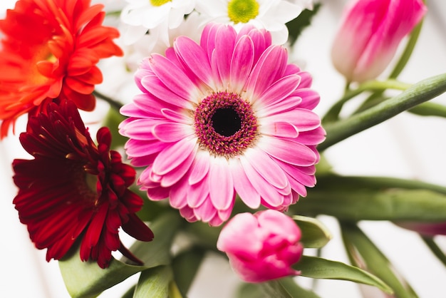 bouquet of gerberas