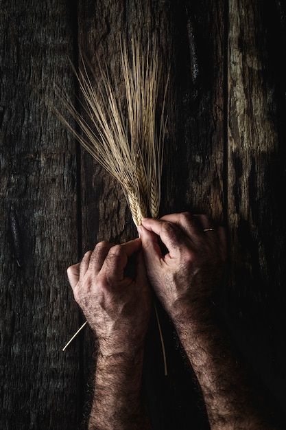 Bouquet of golden spikes on dark background. 