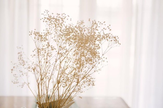 Bouquet of gypsophila on the background of the window