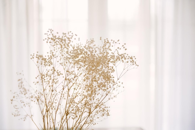 Bouquet of gypsophila on the background of the window