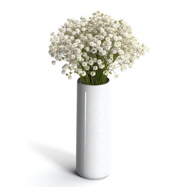 Bouquet of gypsophila flowers in a vase