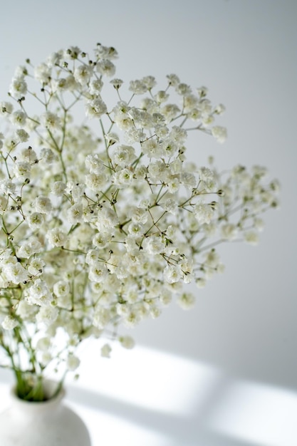 bouquet of gypsophila, white small flowers on a gray background, space for text,