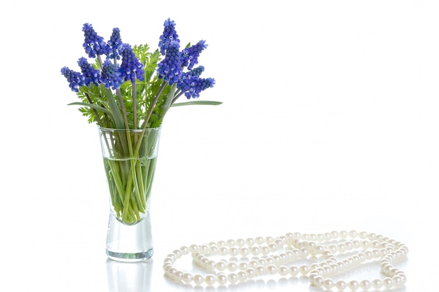 Bouquet of hyacinths