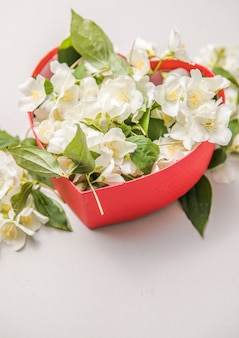 Bouquet di gelsomino in confezione regalo cornice decorativa di congratulazioni di fiori di san valentino