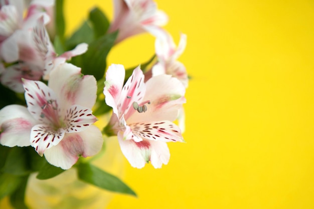 黄色に淡いピンクのアストロメリアの花束