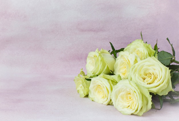 bouquet of light roses on a pink background